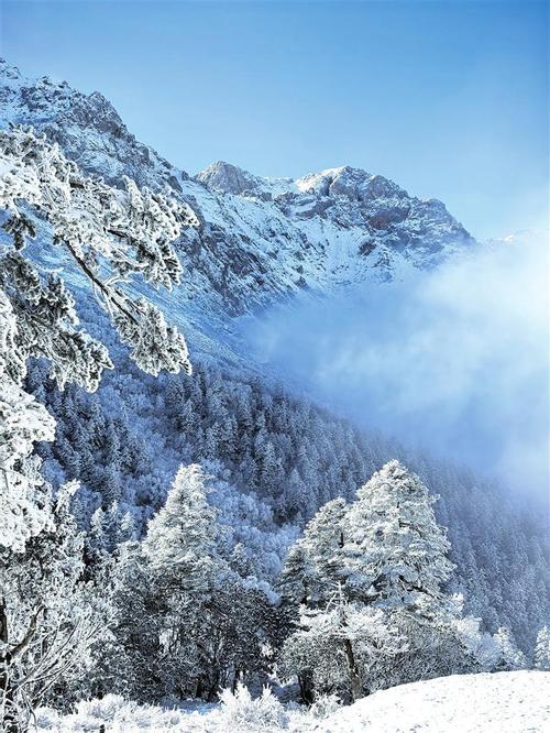 陇南的旅游景点有哪些