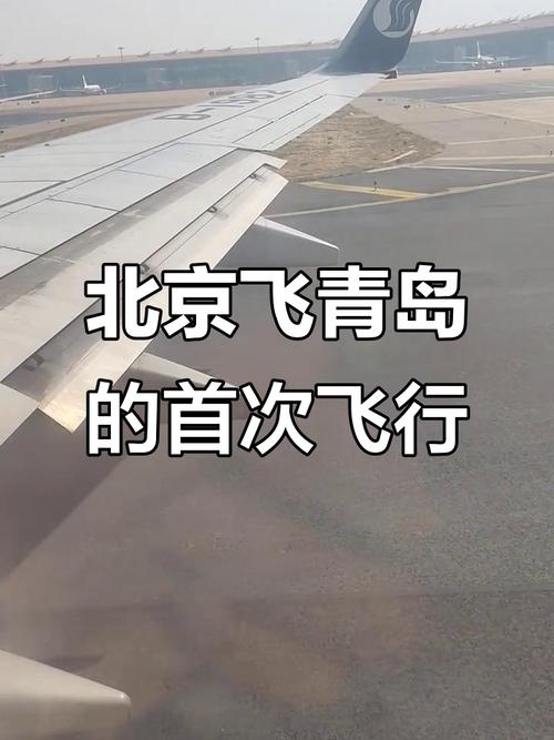 坐飞机到青岛旅游攻略