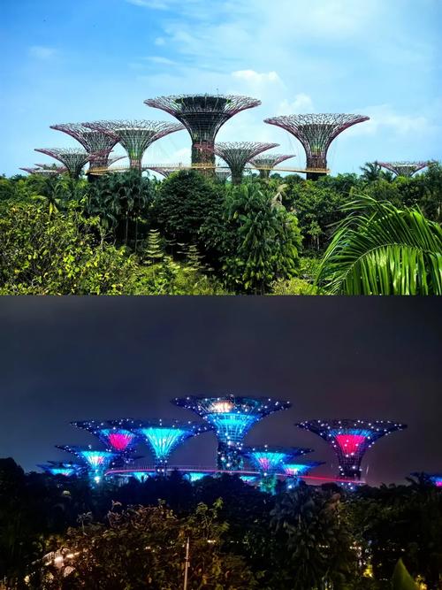 新加坡滨海湾花园攻略