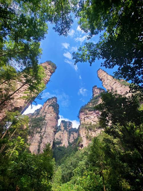 北京到张家界旅游攻略