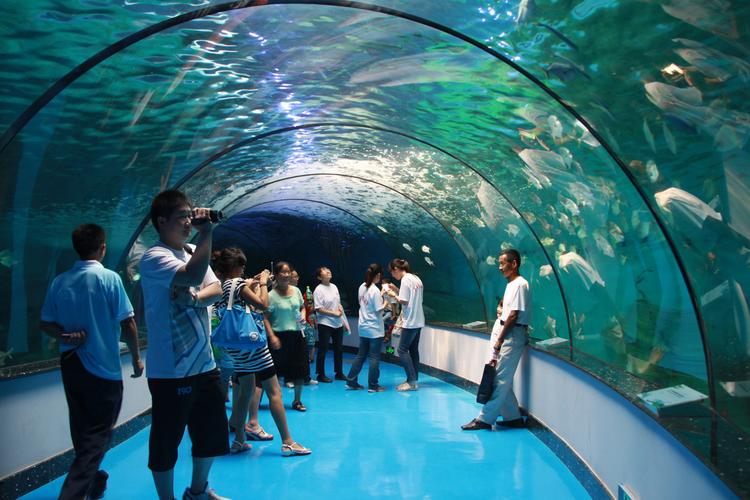 泉城极地海洋世界攻略