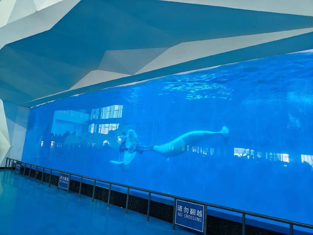 泉城海洋极地世界攻略