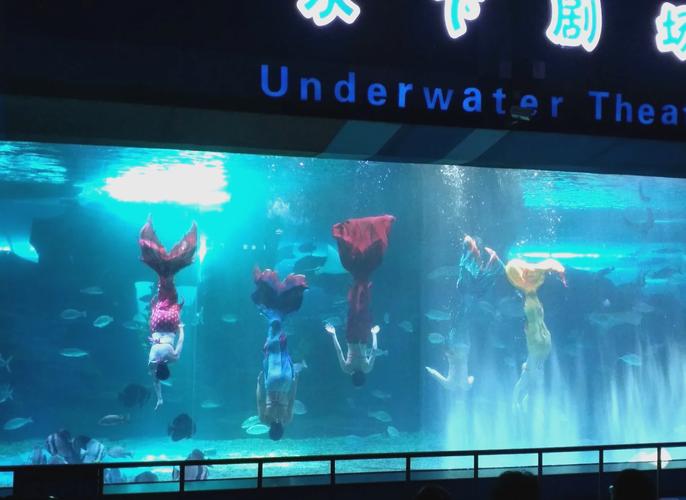 泉城海洋极地世界攻略