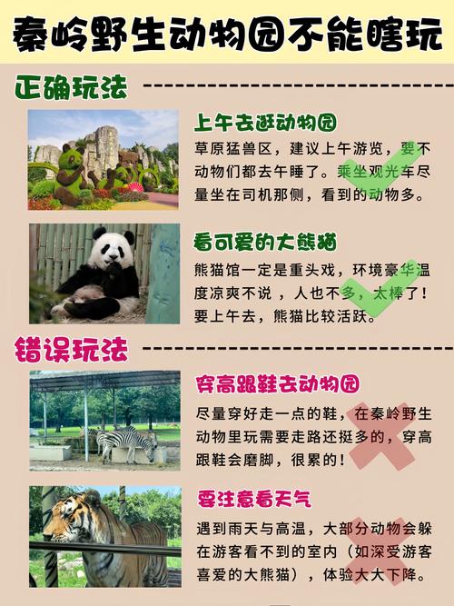 野生动物世界游玩攻略