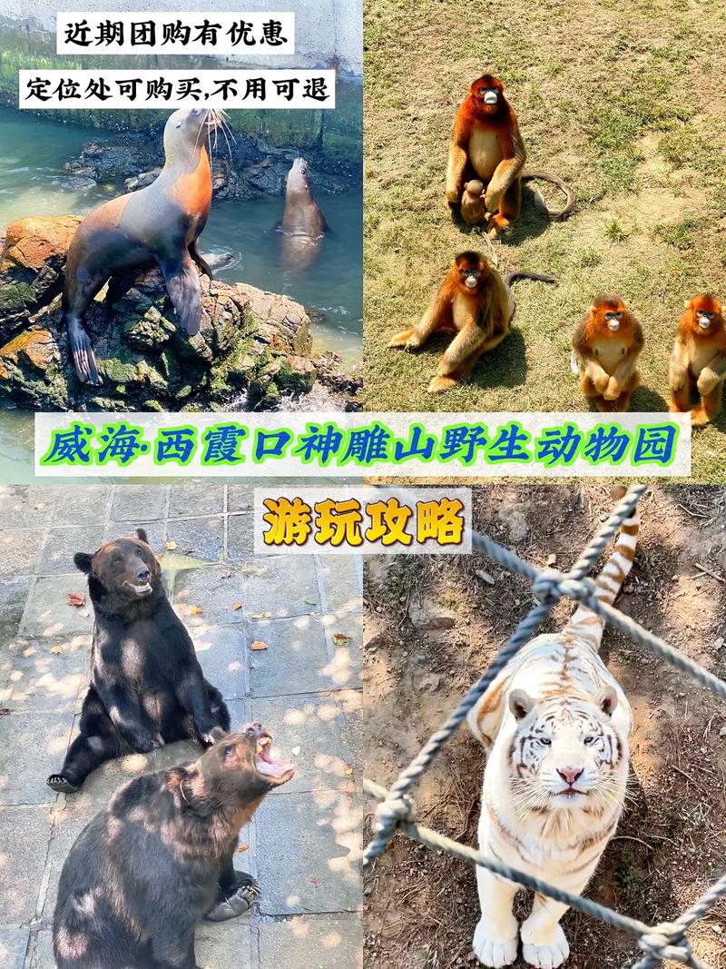 野生动物世界游玩攻略