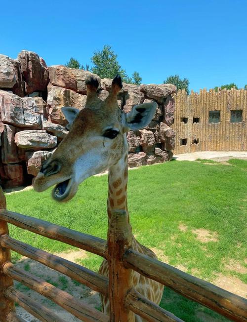 济南野生动物世界攻略