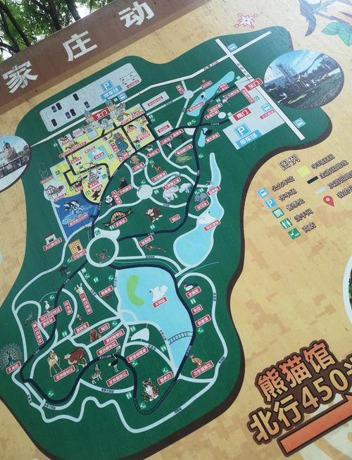 石家庄动物园游玩攻略