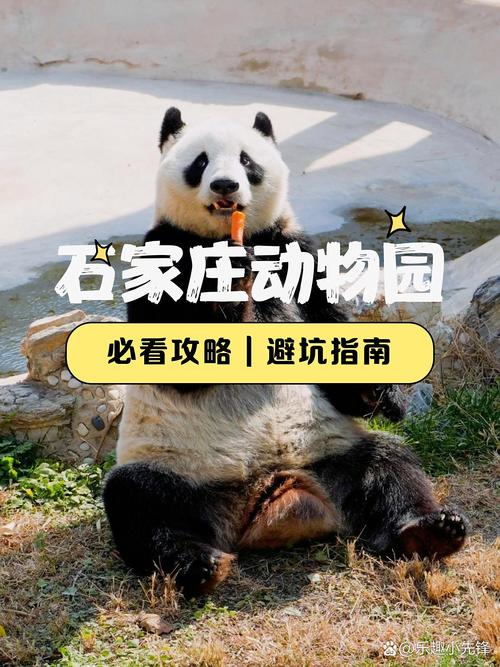石家庄动物园游玩攻略