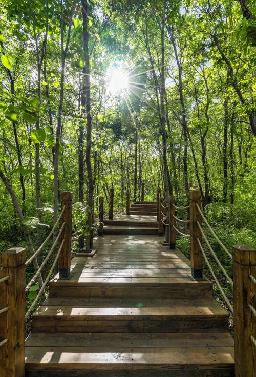 长春市的旅游景点大全