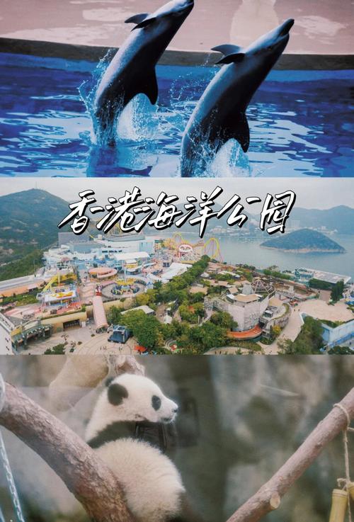 香港海洋公园游玩攻略