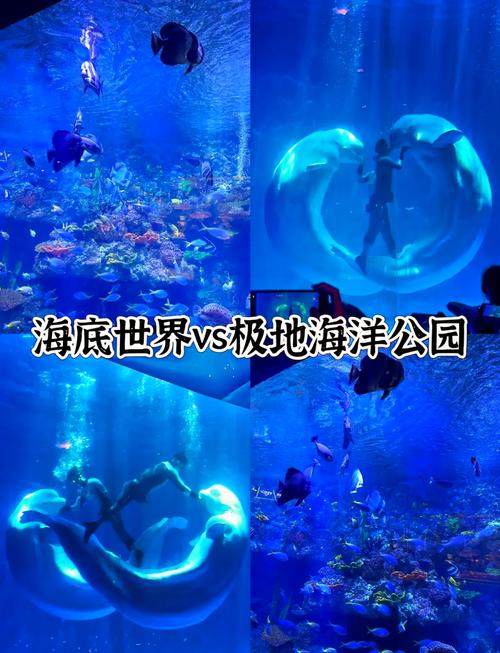 青岛海底世界游玩攻略