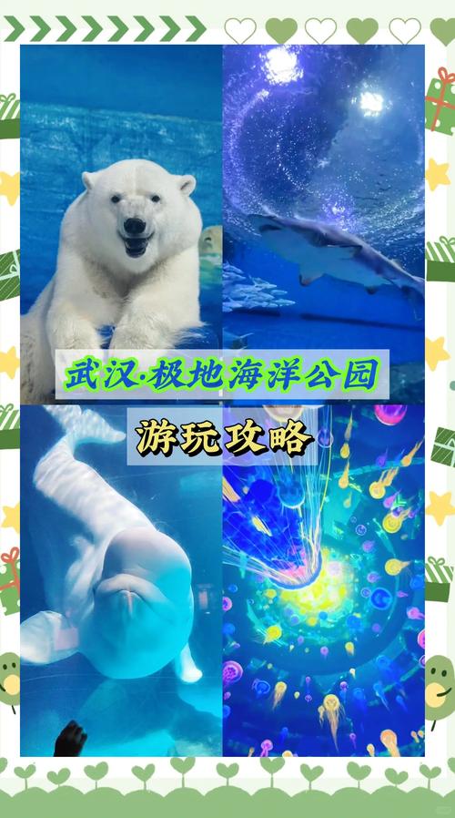 武汉极地海洋公园攻略